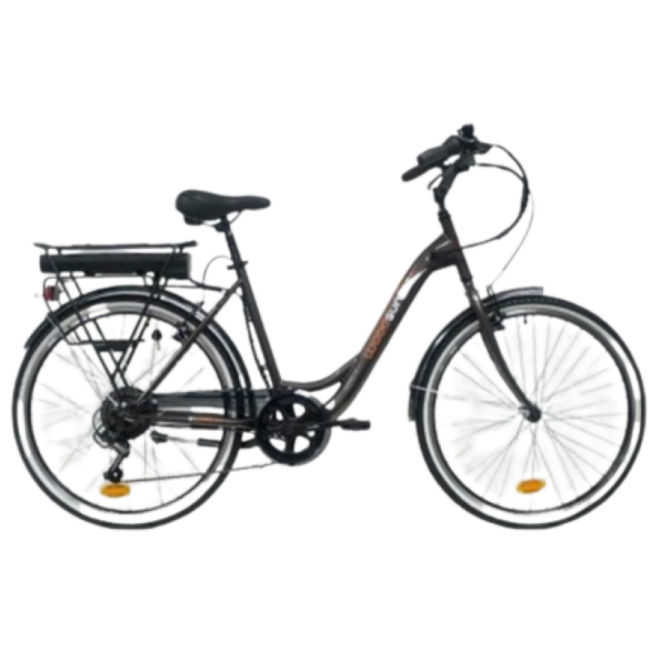 VAE city 26 pouces PHOENIX Wheelcare
